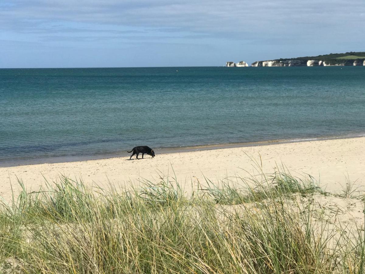 Arbour House B&B Swanage Zewnętrze zdjęcie